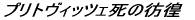 �v���g���B�b�c�F���̜f�r 